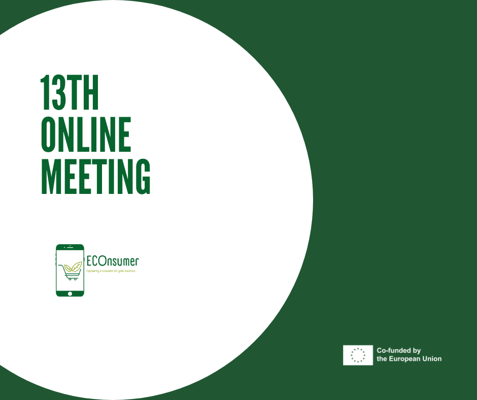 13th online meeting